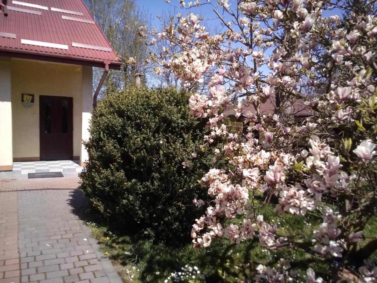 Apartamenty I Pokoje Pluszak Sandomierz Bagian luar foto